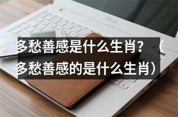 内心太过多愁善感的生肖