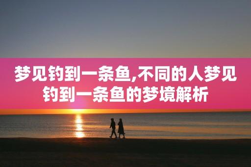 梦见钓上鱼
