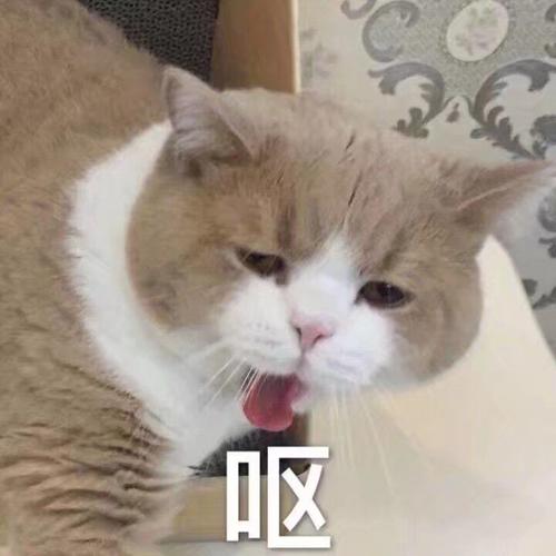 你是男生眼中的呕像吗