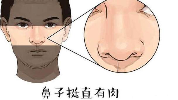 鼻子不大但鼻梁挺直的男人为人正直吗