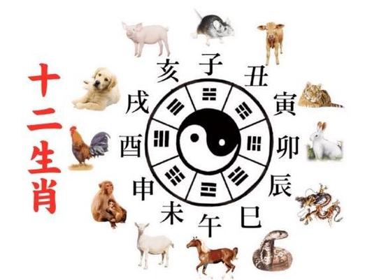 属马在恋爱中是怎么作天作地的