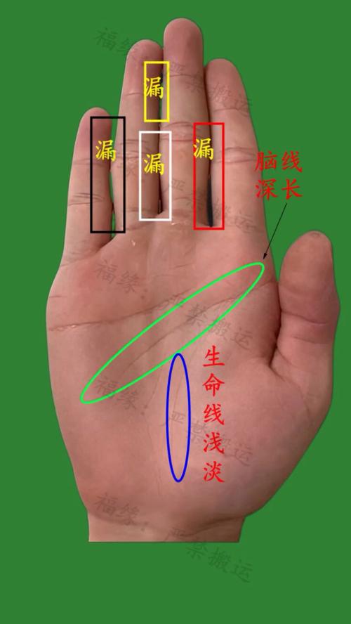 什么是木型手