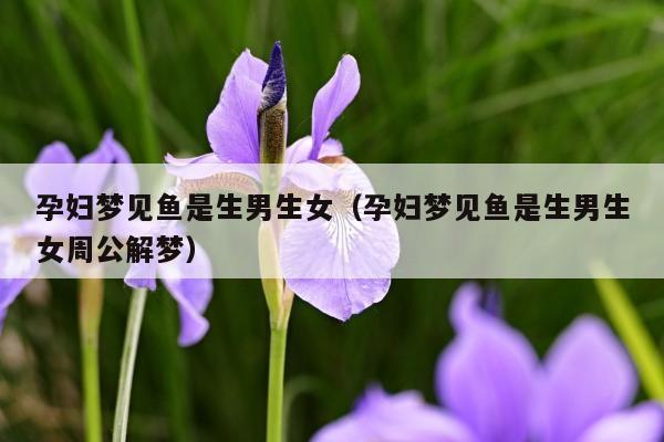 孕妇梦见金鱼生男生女