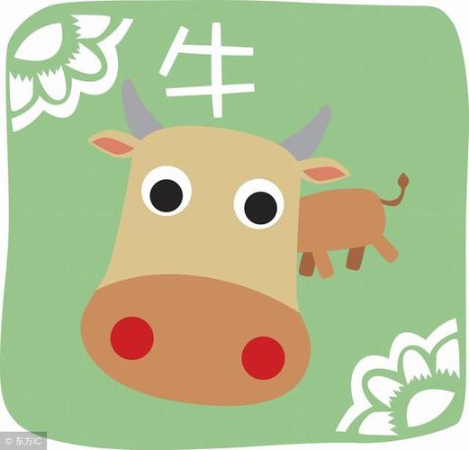 迷倒生肖牛的秘诀