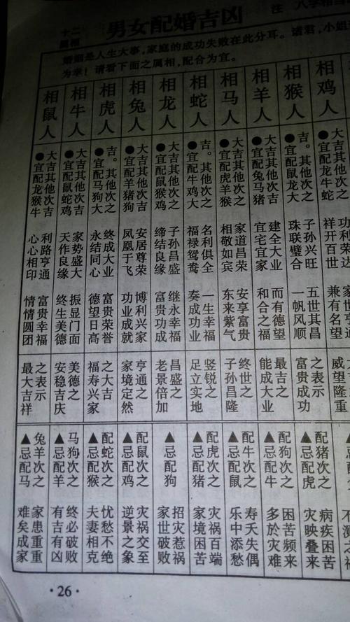 一九五九年是什么生肖