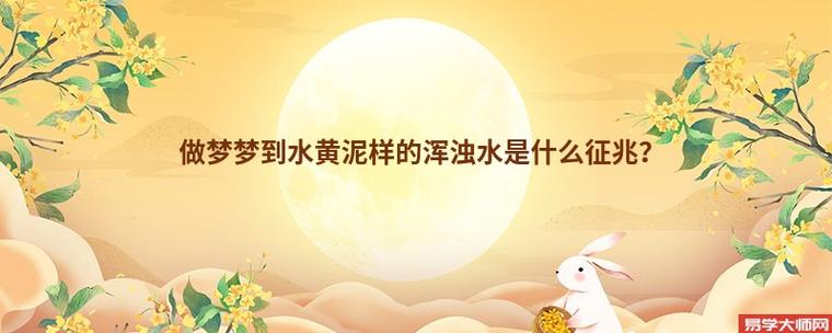 梦见发黄的浑浊水
