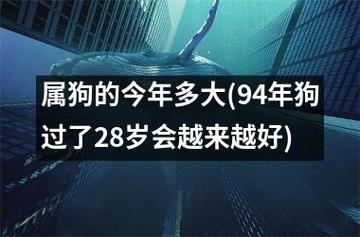 1994年28岁的属狗男在2022上半年综合运程不够稳定