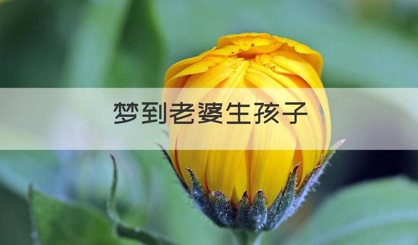 梦见老婆早产是什么意思