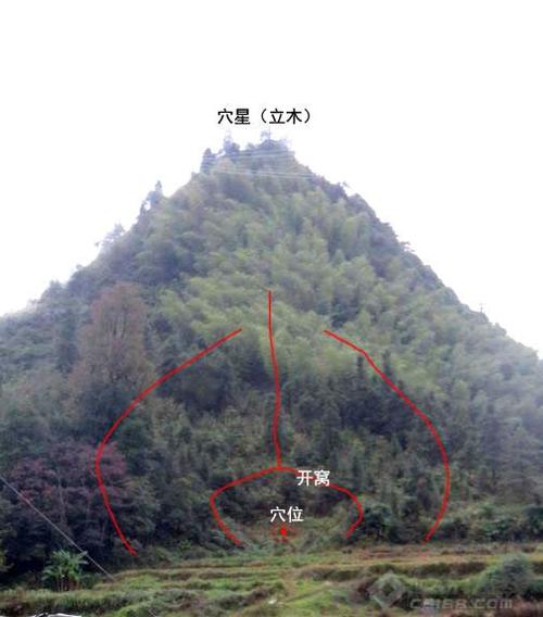 风水中的老虎地怎么取穴