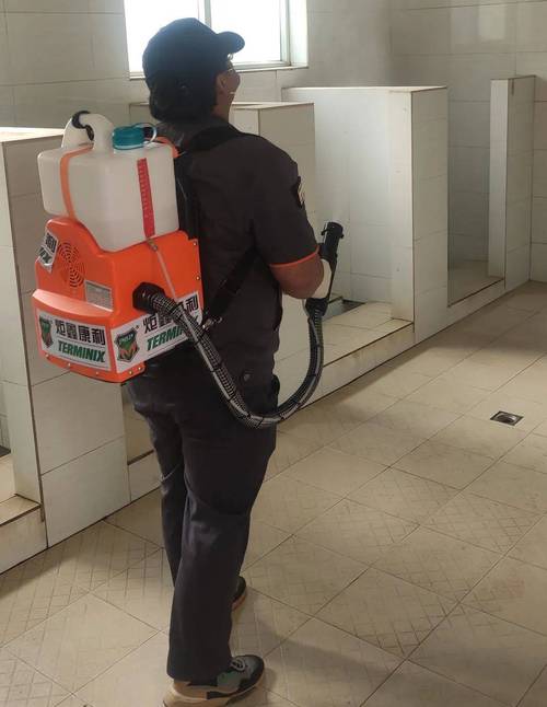 梦见断肢是什么意思