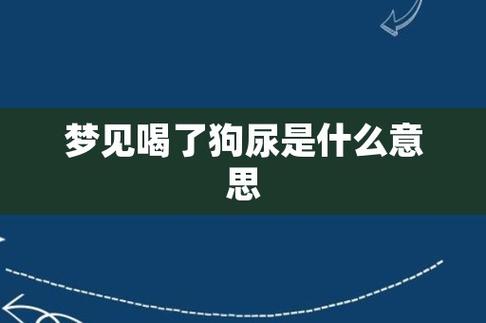 梦见喝狗尿