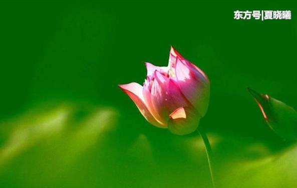 今后几个月有贵人帮忙,3生肖财运好,事业前进,赚大钱