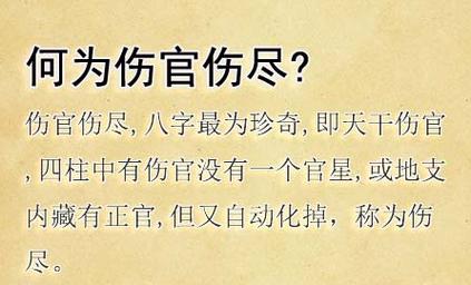 伤官伤尽应该作何解释?