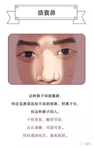 对照看看鼻子是发财鼻吗