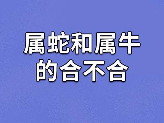 ?属牛和属蛇的结合好不好