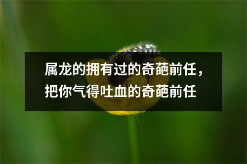 属龙的拥有过的奇葩前任