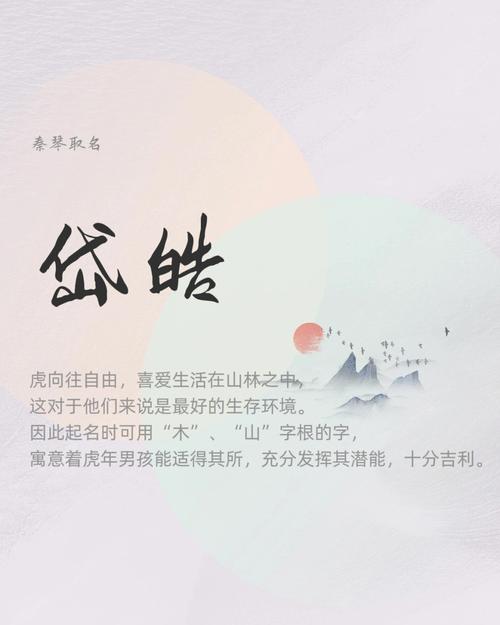 虎年男宝名字,2022年易生男宝的生肖