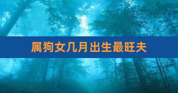 狗几月份出生最好,狗女几月好命