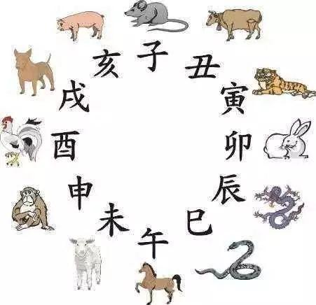 卯年说生肖