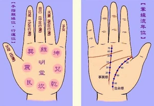 与玄学有缘的手相