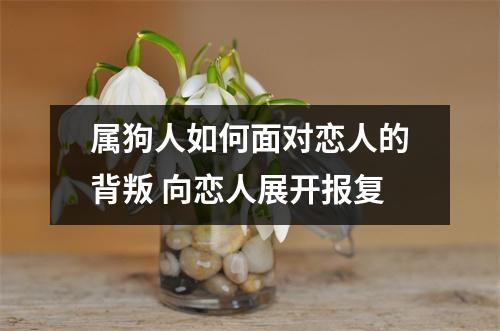属狗人如何面对恋人的背叛