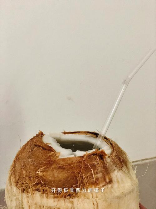 梦见吃椰子