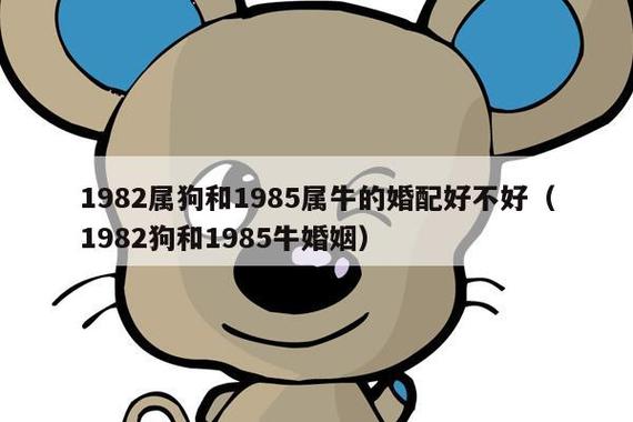 狗和牛相配婚姻如何