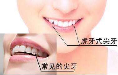 牙齿中的寿命与财运