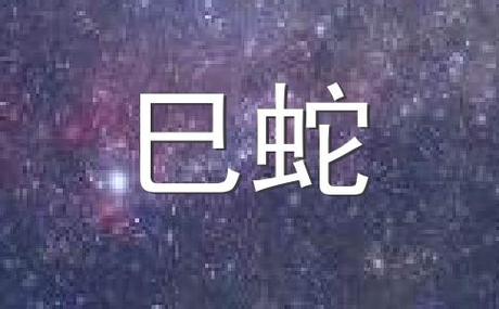 生肖蛇媳妇大战婆婆的取胜之道