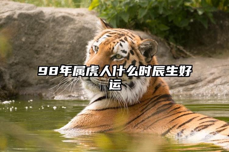 98年属虎人何时交运