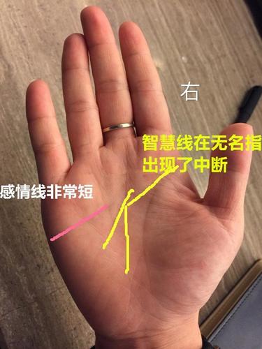 智慧线短的人真的很笨吗?终身一事无成?
