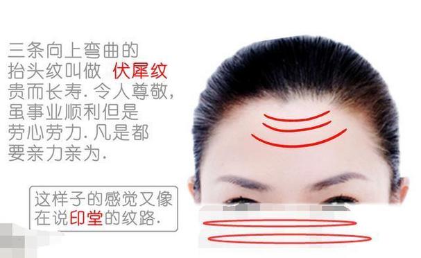 面部少见的好纹路—朝笏纹