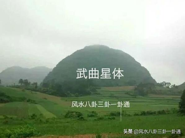 武曲星入父母宫