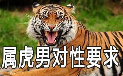 性很强的生肖男
