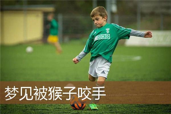 梦到猴子咬自己的手预示着什么