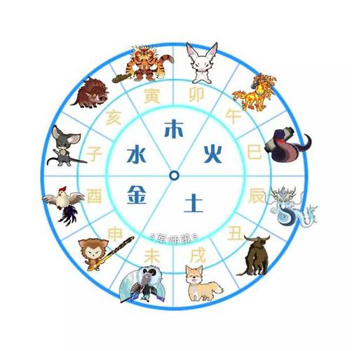 十二生肖五行属性大全