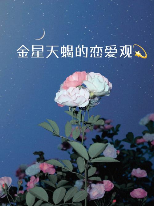 金星天蝎座的爱情