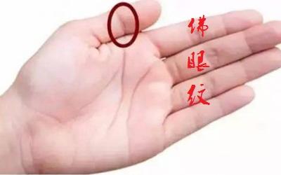 千年罕见的手相佛眼纹