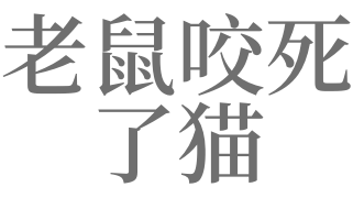 梦见老鼠咬猫