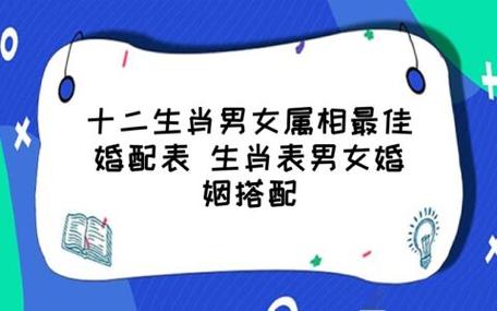 生肖婚配 属鼠的女人和什么属相最配