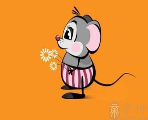 属鼠的人智商都非常高