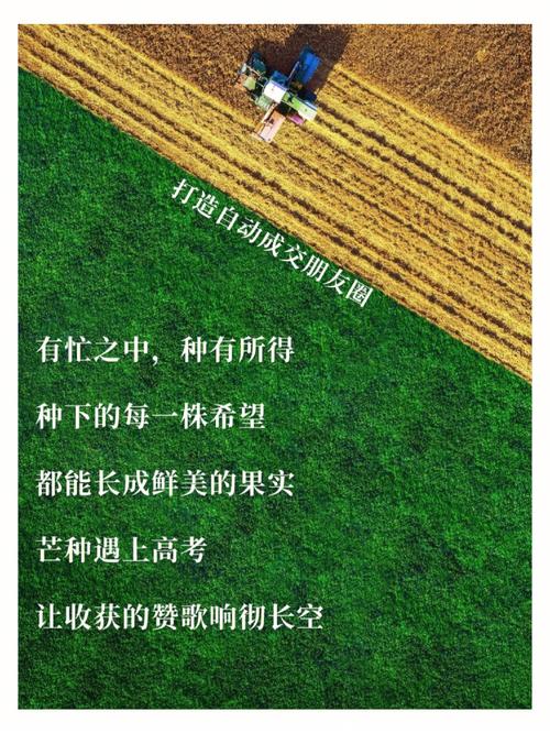 2027年芒种是几月几号,2027年什么时候芒种