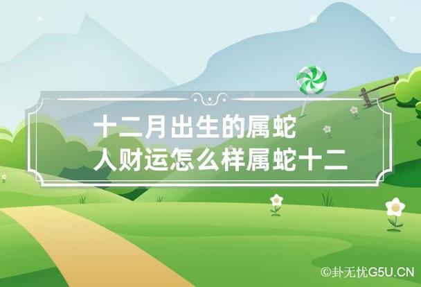 属蛇32岁今年财运