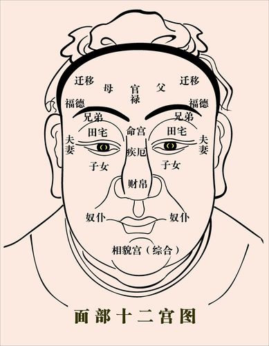 面相十二宫位详解