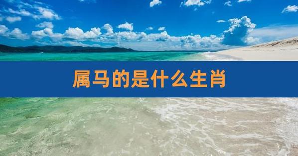 属马人2022年2月份运势详解,属马的和什么属相最配