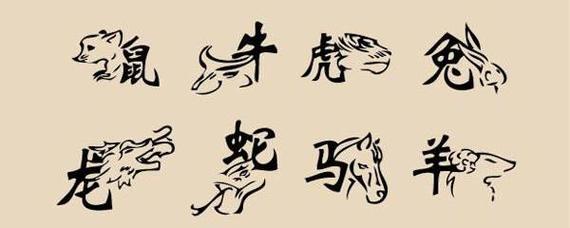 不争第一 居中就好的生肖