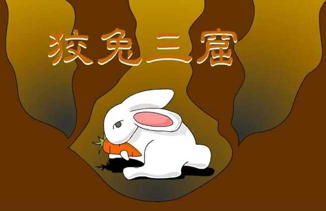 狡兔三窟是什么生肖,听说90%的人都错了