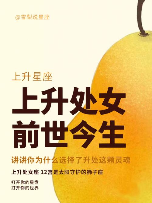 上升处女女的完美配对