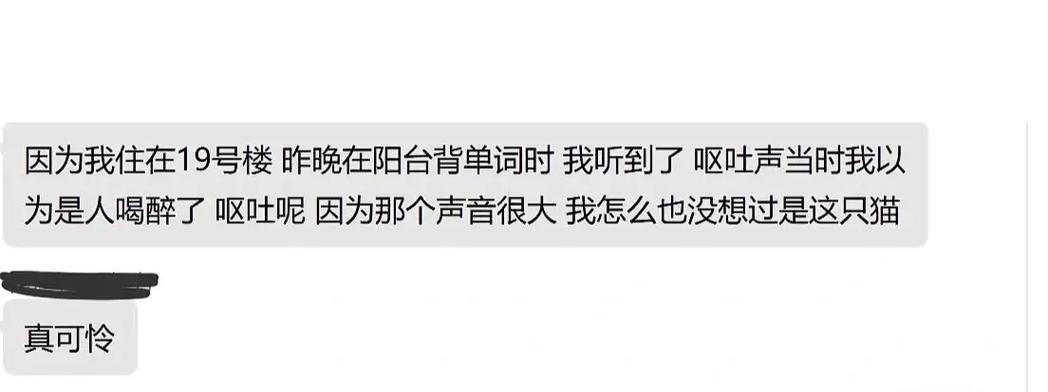 梦见把猫摔死了流血