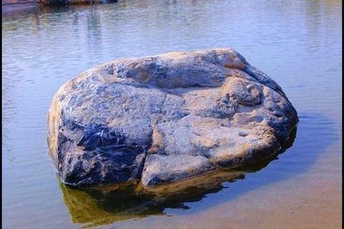 水落石出打一生肖,是什么?